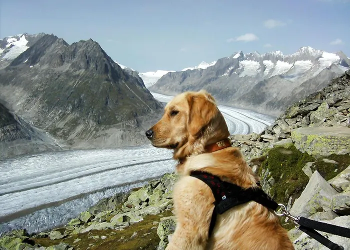 Aragon F130 By Interhome *