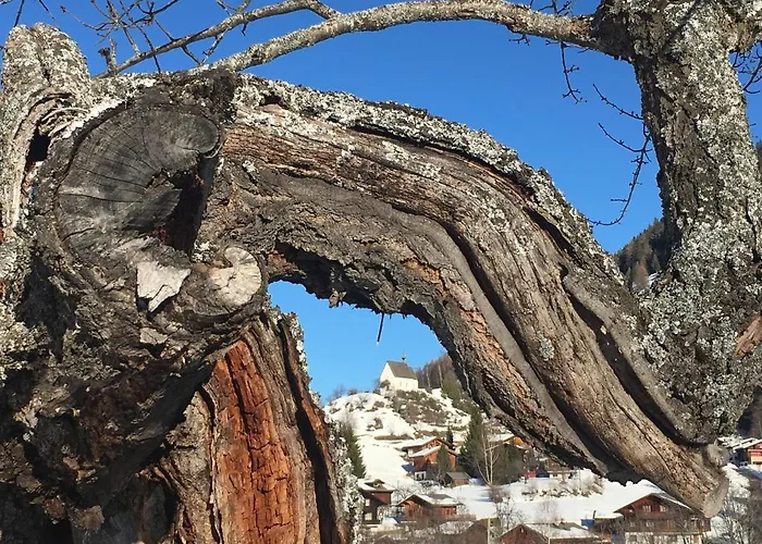 Aragon F130 By Interhome