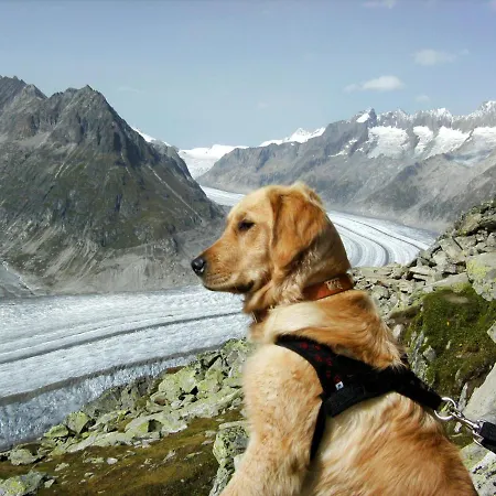 Aragon F130 By Interhome *