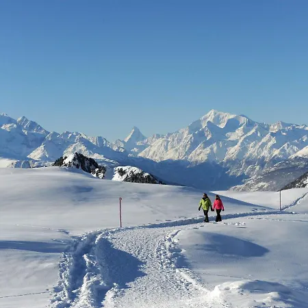 Apartment Aragon F130 By Interhome Ernen